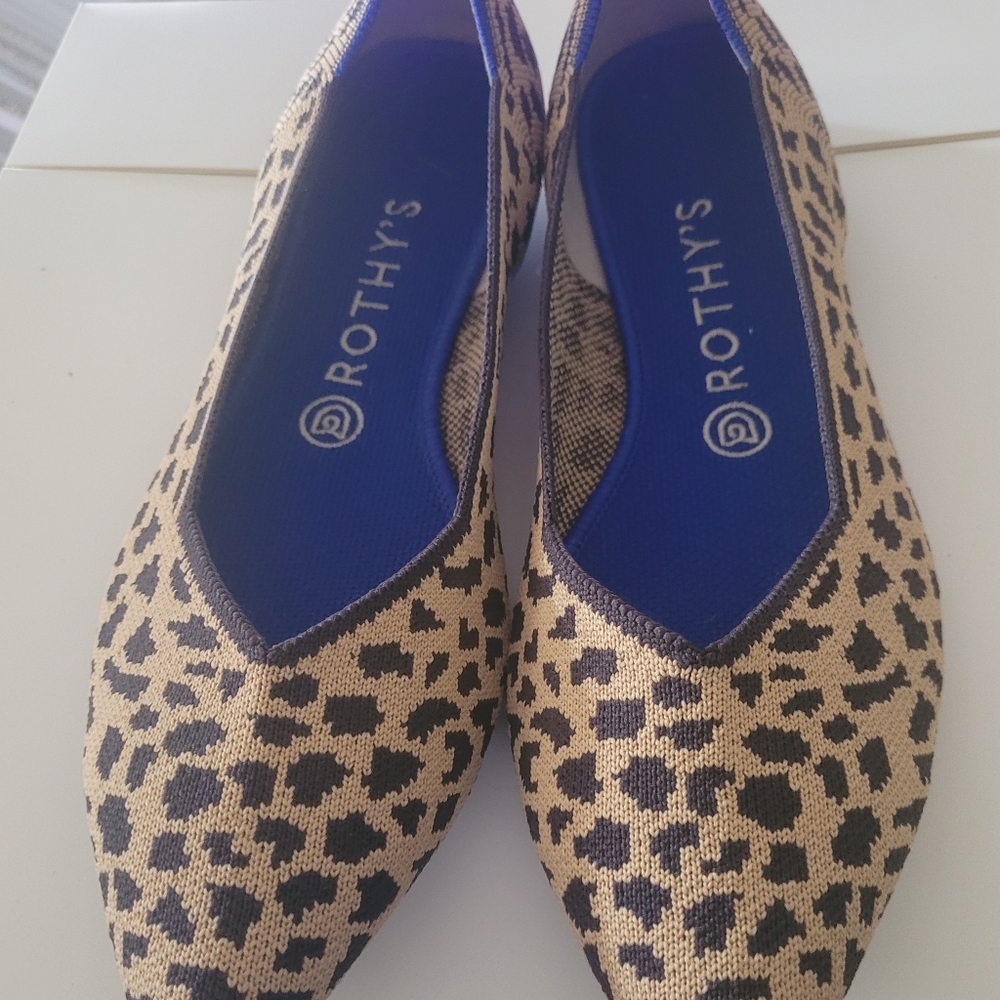 Rothy's "The Point" Flats
